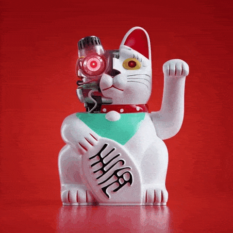 gato.gif